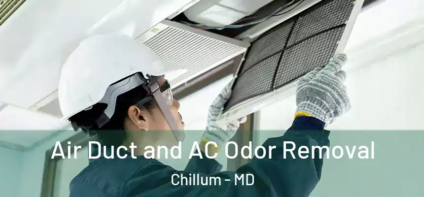  Air Duct and AC Odor Removal Chillum - MD