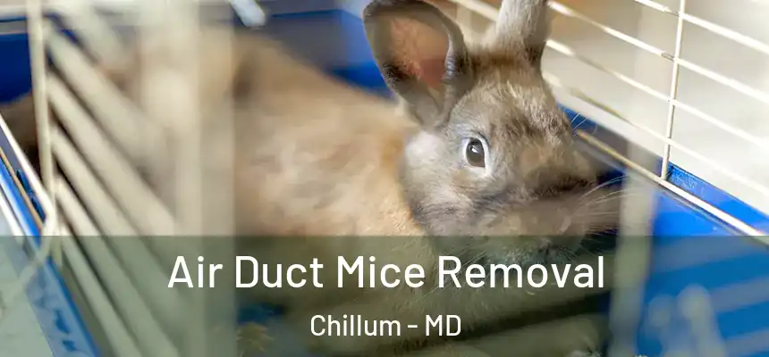  Air Duct Mice Removal Chillum - MD