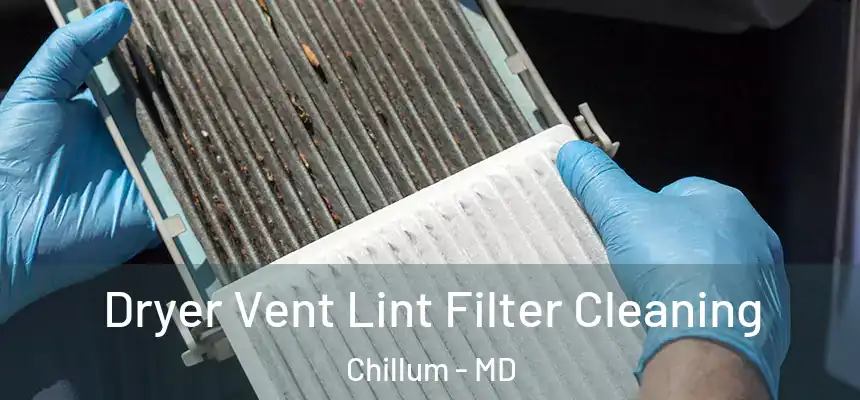  Dryer Vent Lint Filter Cleaning Chillum - MD