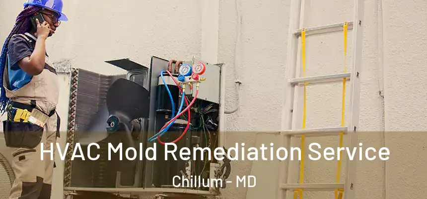  HVAC Mold Remediation Service Chillum - MD