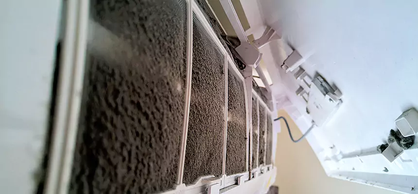 Preventive Air Duct Bacteria Removal in Chillum