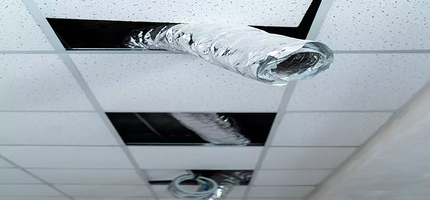 Our Air Duct Pet Hair Removal Services in Chillum, MD