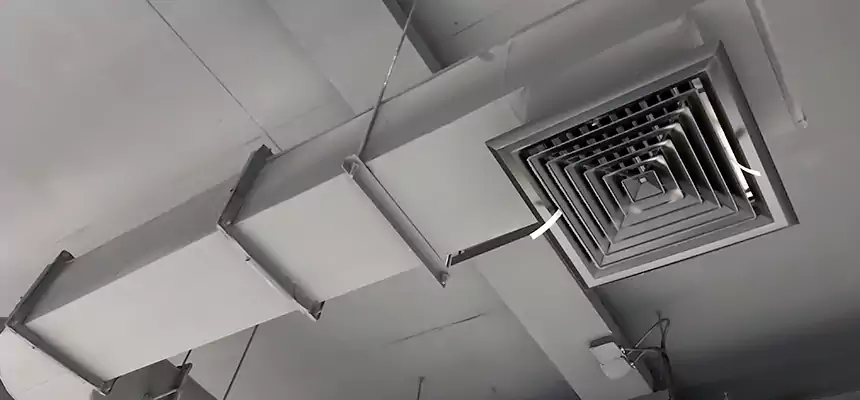 Our Pest Removal From Ducts Services in Chillum, MD