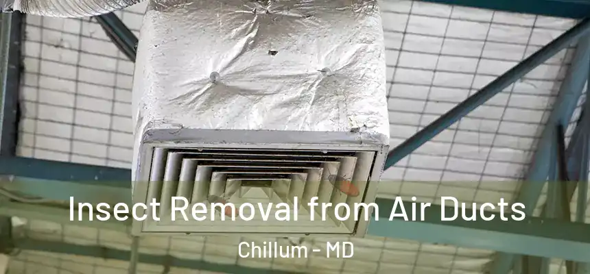  Insect Removal from Air Ducts Chillum - MD
