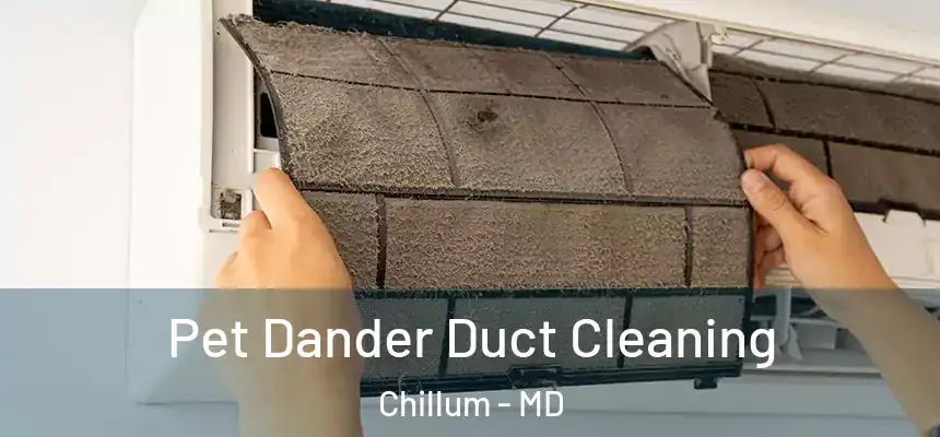  Pet Dander Duct Cleaning Chillum - MD