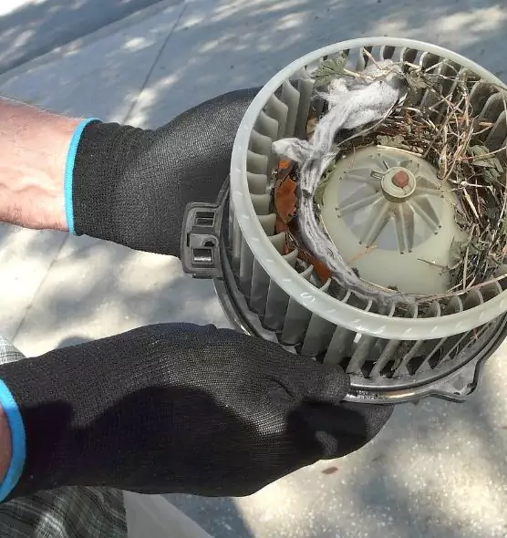 About Air Duct Rat Removal in Chillum, MD