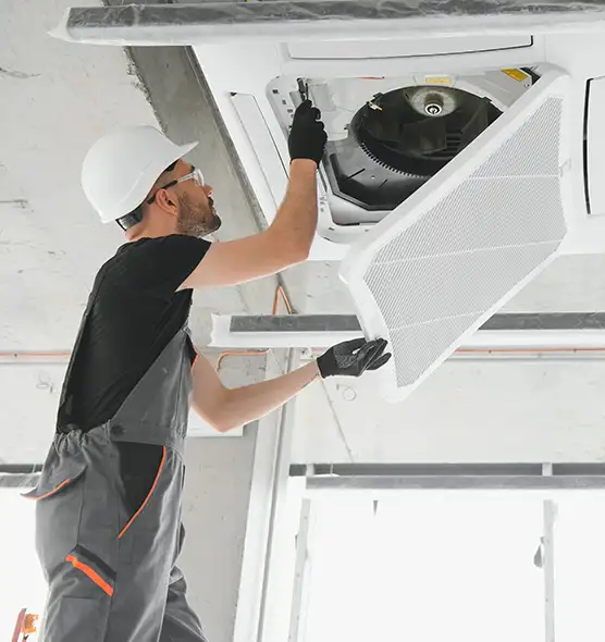 About Air Duct Rodent Removal in Chillum, MD