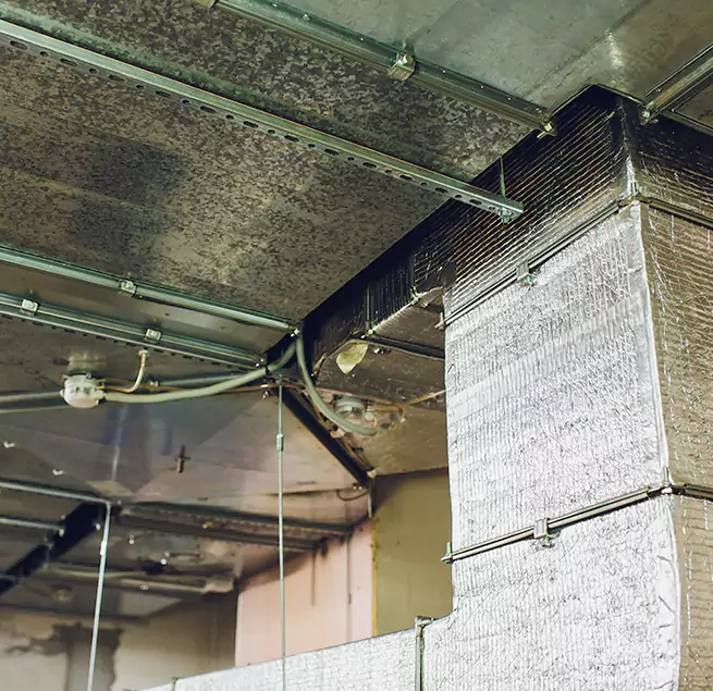 Why Homeowners & Businesses Trust Us in Chillum, MD?